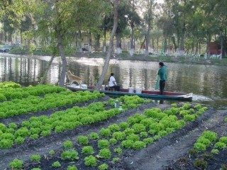 La agricultura azteca