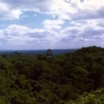 Tikal: la gran ciudad maya de la selva