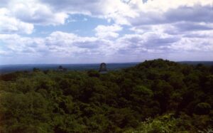 Tikal: la gran ciudad maya de la selva