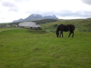 La casa larga vikinga (langhús): cómo vivían los nórdicos en el día a día