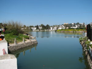 Cartago contra Roma: las Guerras Púnicas y la destrucción de una civilización