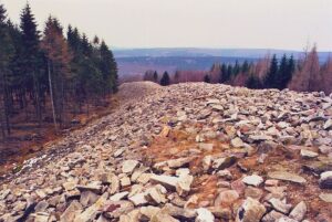 Los oppida celtas: ciudades fortificadas de Europa