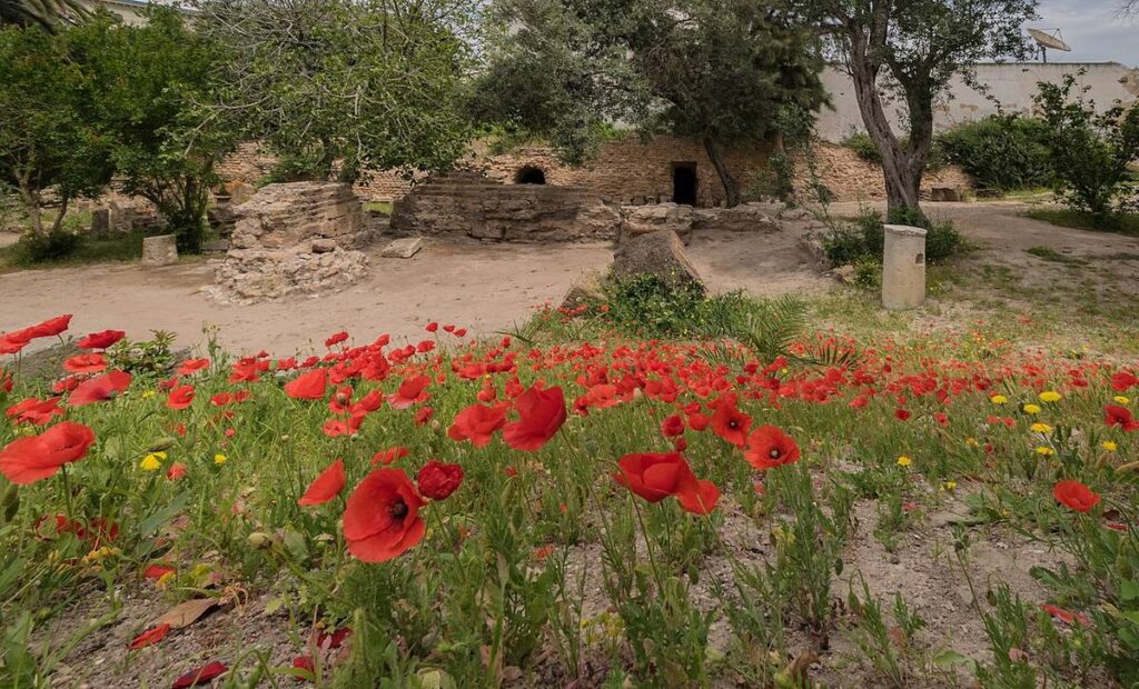 Estela púnica del tofet de Cartago con el signo de Tanit dedicada a Baal Hammon