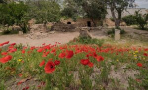 El tofet de Cartago: la controversia de los sacrificios infantiles