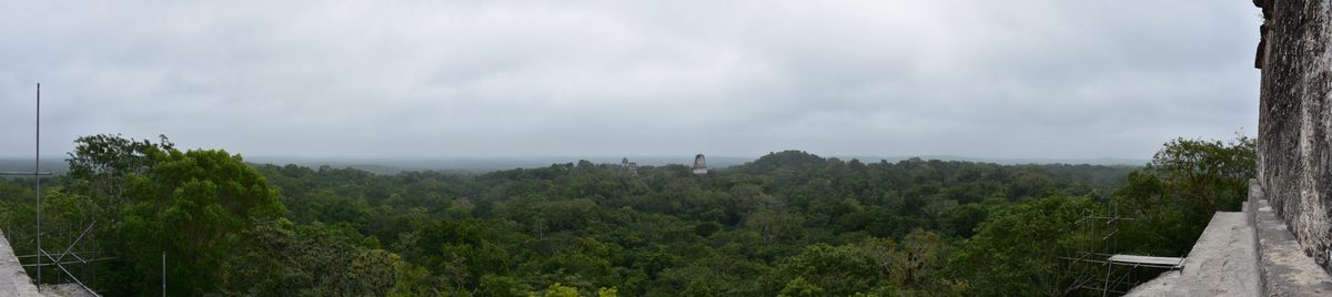 Vista desde lo alto del Templo IV de Tikal (Guatemala): las crestas de los Templos I, II y III emergen de la selva del Petén